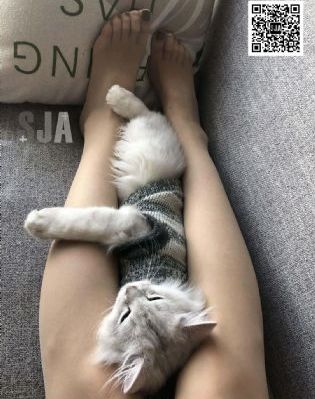 国产精品完整合集magnet_1080高清完整版播放